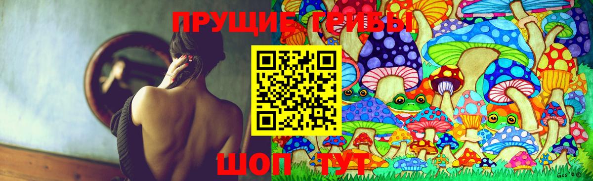 Галлюциногенные грибы Cubensis  хочу   Подольск  Псилоцибиновые грибы Psilocybine cubensis 